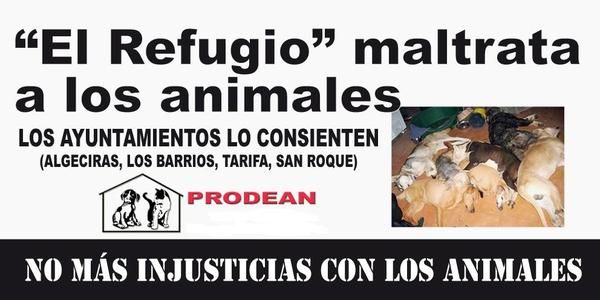 NO COMPRES ANIMALES, ADOPTA Y SALVA VIDAS. S.O.S.