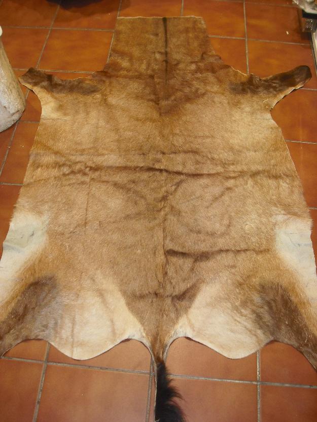 Venta de alfombras de piel