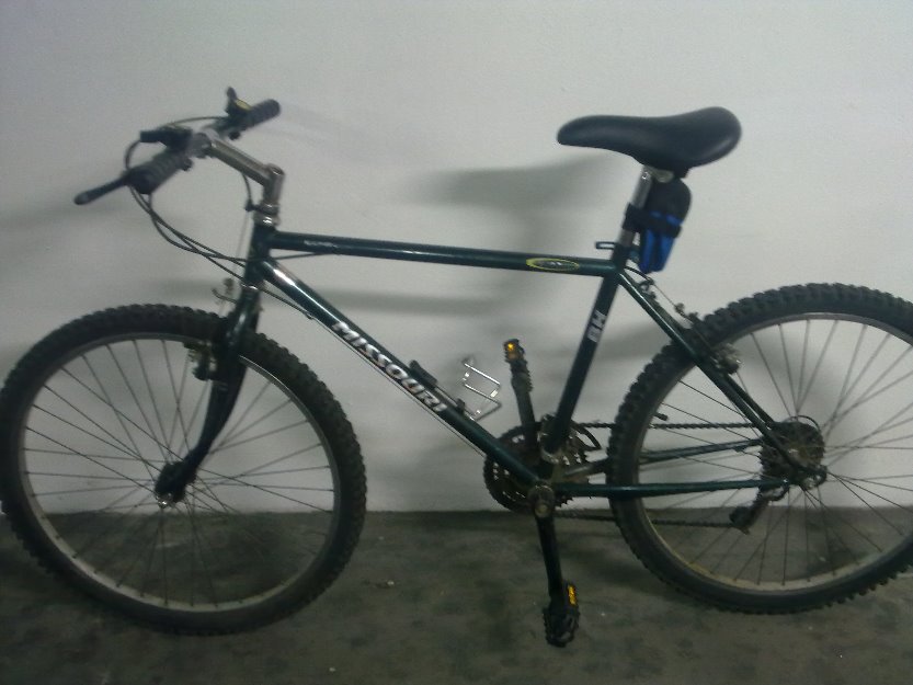 Bicicleta de montaña