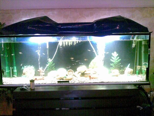 acuario conpleto