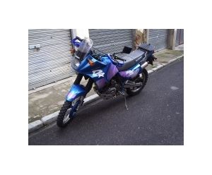 SUZUKI DR-650R