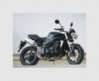 TRIUMPH SPEDD TRIPLE 1050 - mejor precio | unprecio.es