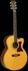 Guitarra acústica / Acoustic guitar Tanglewood (cuerpo grande) con FISHMAN - mejor precio | unprecio.es