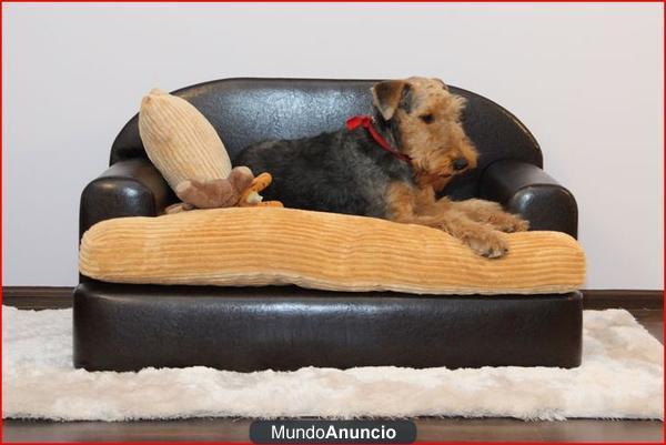 EL SOFA IDEAL PARA TU PERRO