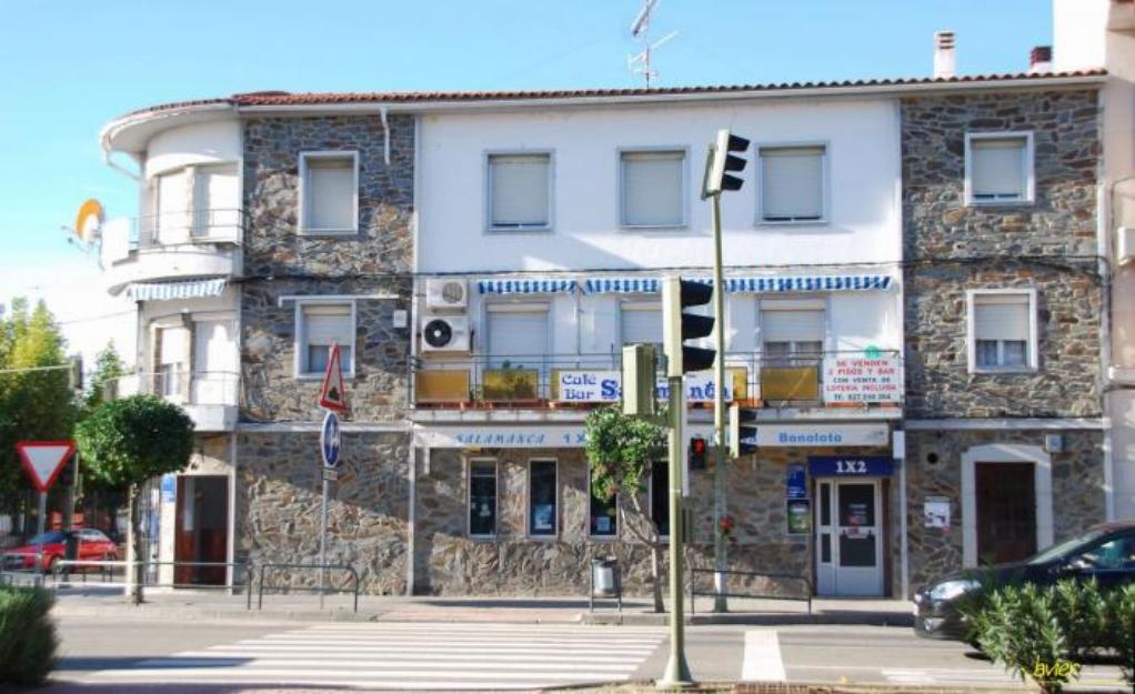 Cafeteria con loterias y apuestas del estado vivienda