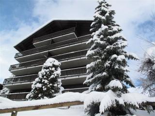 Apartamento en residencia : 6/8 personas - verbier  valais  suiza