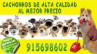 CACHORRETES GARANTIZADOS AL MEJOR PRECIO - mejor precio | unprecio.es