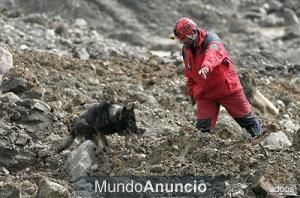 ADIESTRAMIENTO CANINO NVARKAN