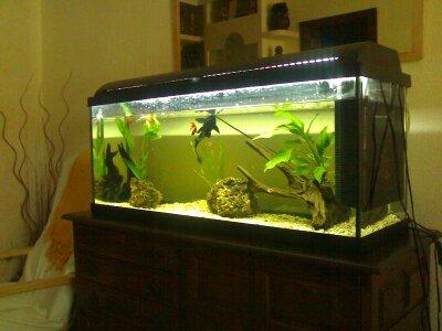 se vende acuario 120l