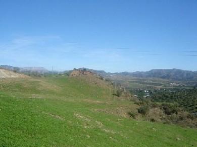 Terreno se vende en Alora