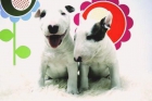 Bullterrier - Excelentes Cachorros Disponibles - www.animalflower.es - mejor precio | unprecio.es