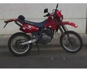 SUZUKI DR 350