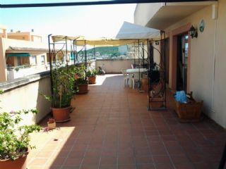 tico en venta en Palma de Mallorca, Mallorca (Balearic Islands)