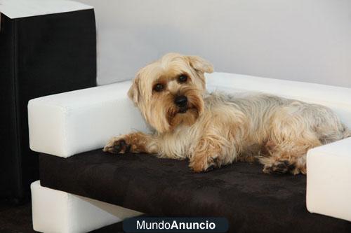 FABRICACION Y VENTA DE SOFAS PARA PERROS