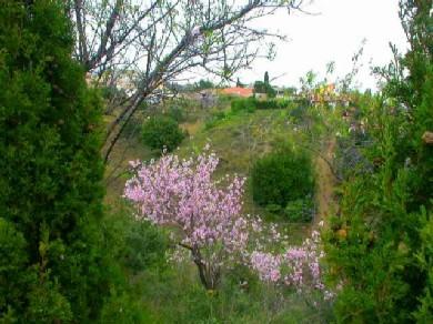 Terreno se vende en Benalmadena Costa, Costa del Sol