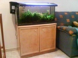 URGE VENDER ACUARIO COMPLETO