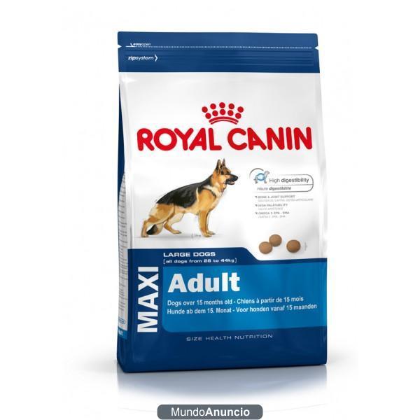 Pienso Royal canin maxi adult