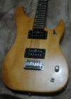 Vendo guitarra washurm - mejor precio | unprecio.es