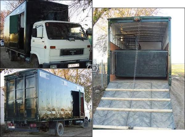 Camion Transporte 6 Caballos MAN 8.150F