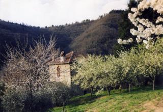 Casa rural : 6/6 personas - reggello  florencia (provincia de)  toscana  italia