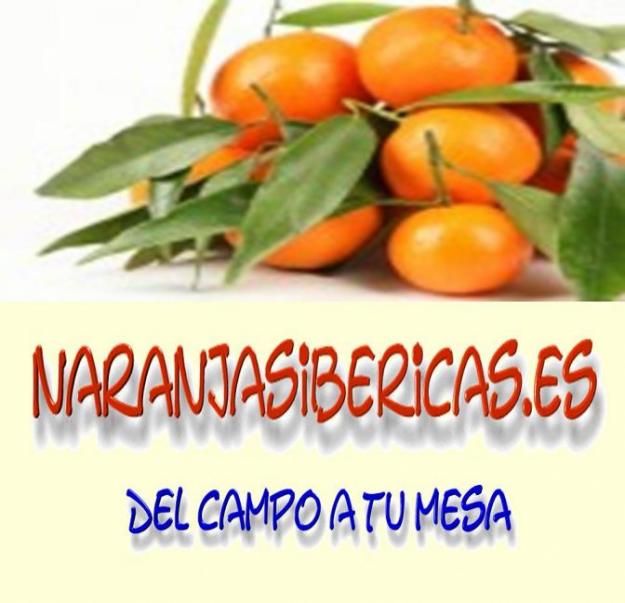 Las mejores naranjas