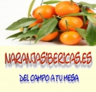 Las mejores naranjas - mejor precio | unprecio.es