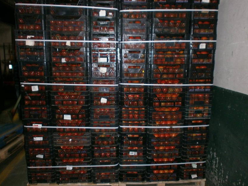 compro cajas de tomates de la casi tipo de envase petisuis