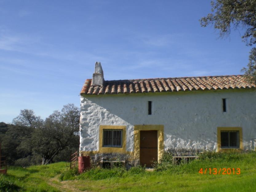 CORDOBA se Vende Finca de encinar y pastos con mucha agua