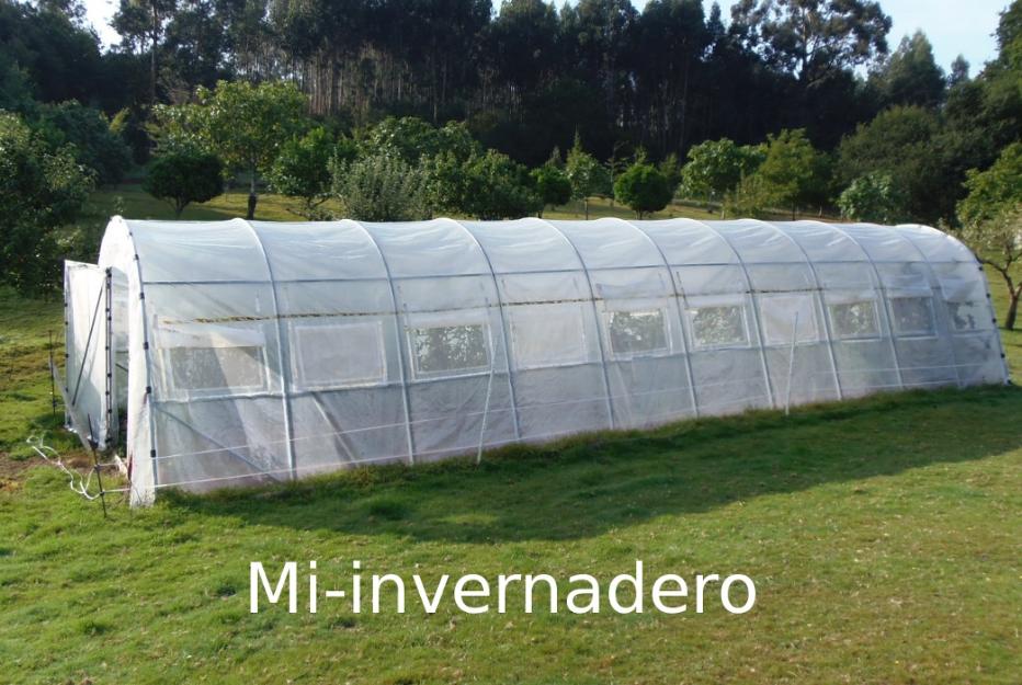 Invernadero huerta con ventanas