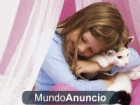 aver quien tiene un corazon de oro y regala a mi niña un perrito de raza pequenito seriedad - mejor precio | unprecio.es