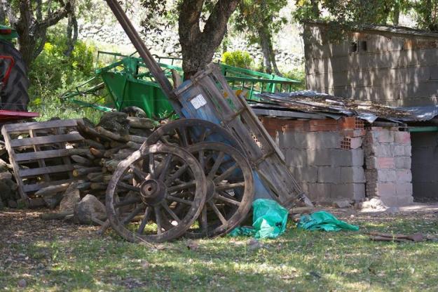 Carros Portugueses