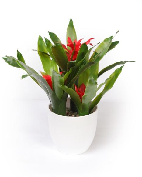 Maceta de Guzmania Artificial