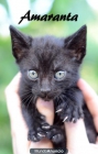 Gatita negra con ojos que te enamoran busca un hogar. Adoptala - mejor precio | unprecio.es