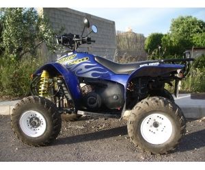 POLARIS TRAIL BLAZER 250