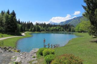 Apartamento en chalet : 10/10 personas - piscina - samoens  alta saboya  rodano alpes  francia