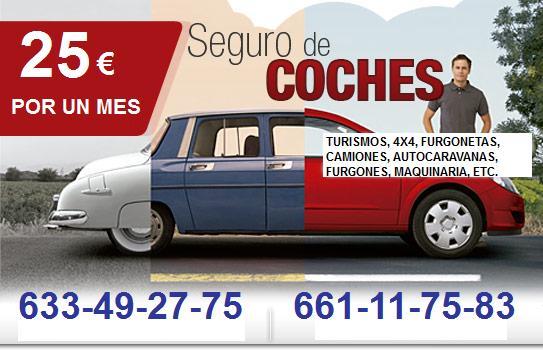 Seguro de coche por un mes 25eu