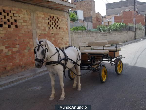 Vendo caballo con caruaje