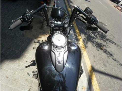 HARLEY DAVIDSON Softail Cross Bones