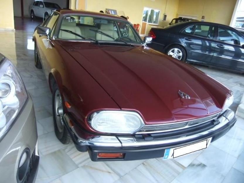 bonito jaguar xjs