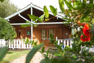 Casa rural : 4/5 personas - piscina - albi  tarn  midi-pirineos  francia