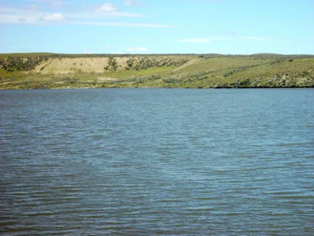 Venta de Fincas Rusticas en La Patagonia