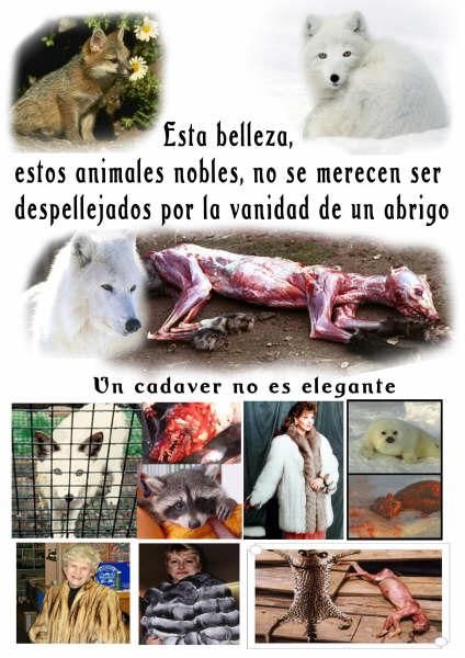 S.O.S. NO COMPRES ANIMALES, ADOPTA Y SALVA VIDAS! - AYUDA A LOS ANIMALES.