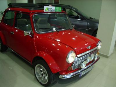 Rover Metro MINI