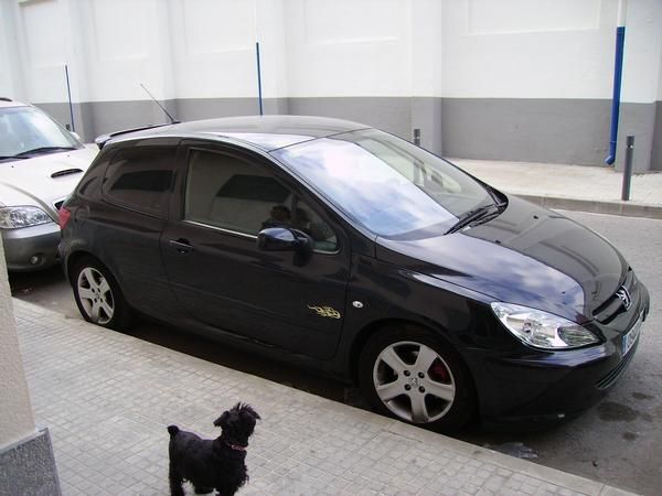 `PEUGEOT 307,HDDI