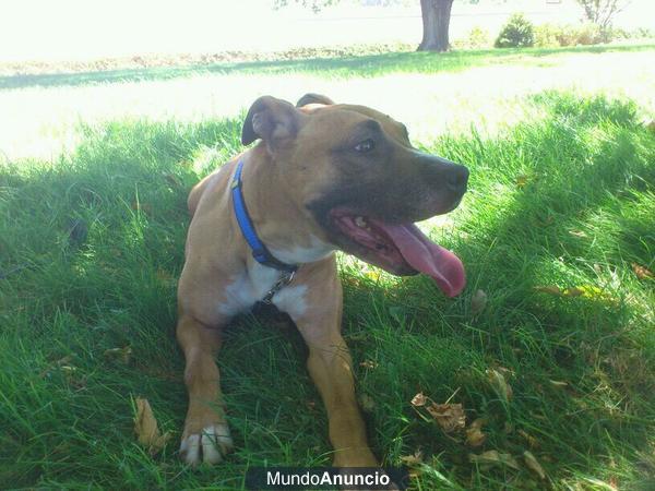 KIRA, mestiza de 4 años en adopción