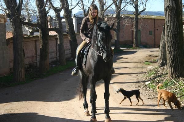 vendo caballo español