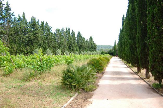 Masía en Vilanova i La Geltrú