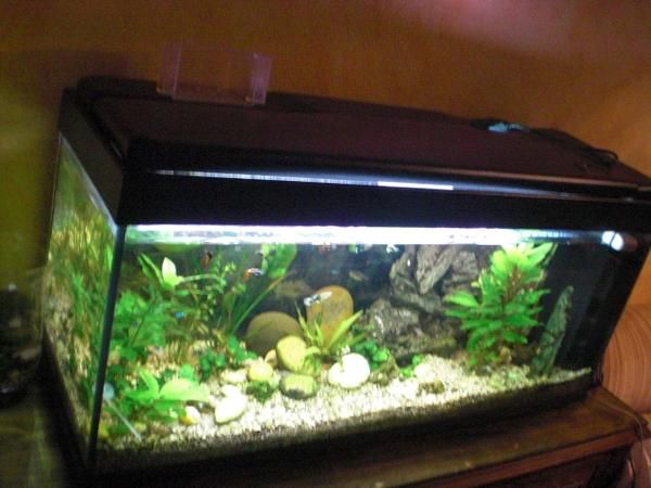 ACUARIO DE 240 LITROS