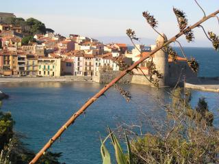 Estudio : 2/2 personas - collioure  pirineos orientales  languedoc-rosellon  francia