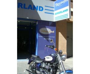 TRIUMPH AMERICA